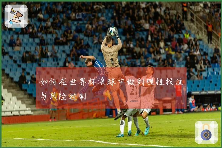 如何在世界杯滚球中做到理性投注与风险控制