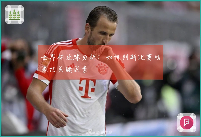 世界杯让球分析：如何判断比赛结果的关键因素