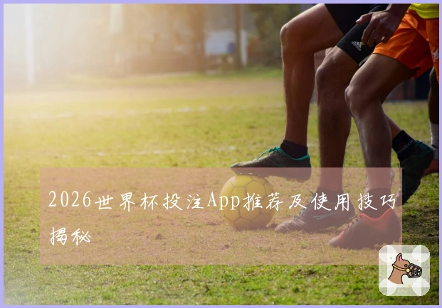 2026世界杯投注App推荐及使用技巧揭秘