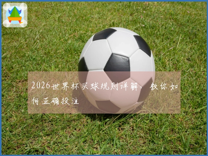 2026世界杯买球规则详解，教你如何正确投注
