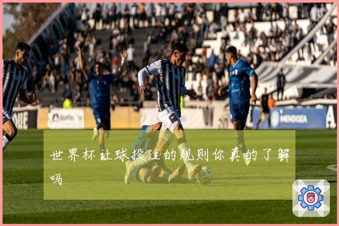 世界杯让球投注的规则你真的了解吗