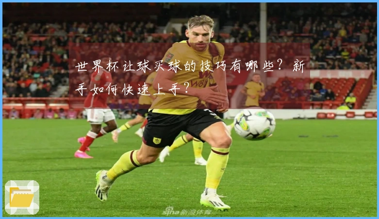 世界杯让球买球的技巧有哪些？新手如何快速上手？