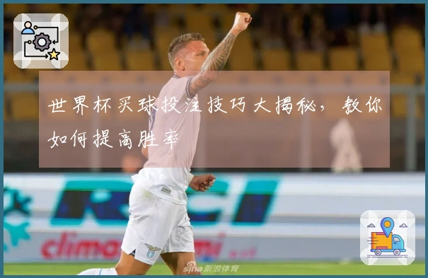 世界杯买球投注技巧大揭秘，教你如何提高胜率