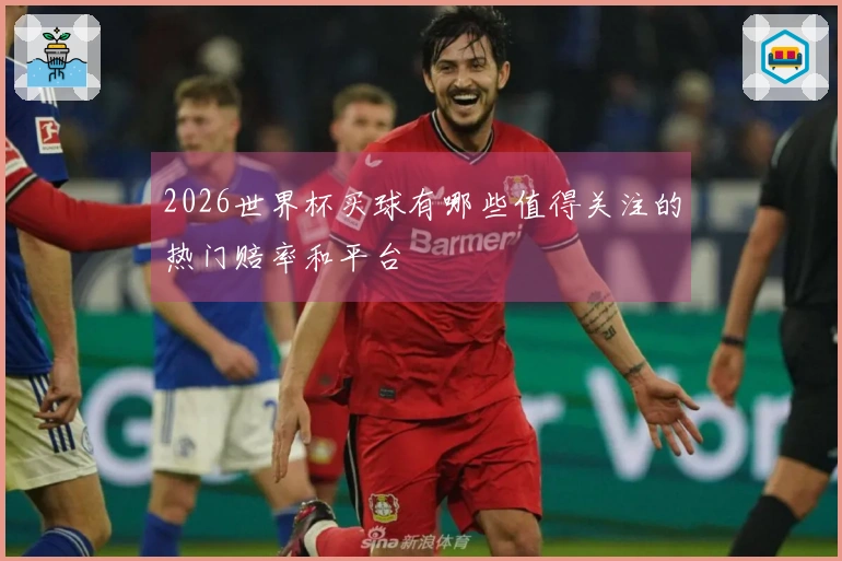 2026世界杯买球有哪些值得关注的热门赔率和平台