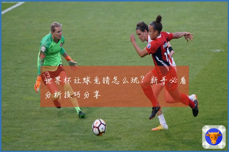 世界杯让球竞猜怎么玩？新手必看分析技巧分享