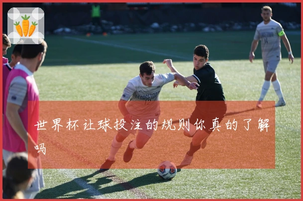 世界杯让球投注的规则你真的了解吗